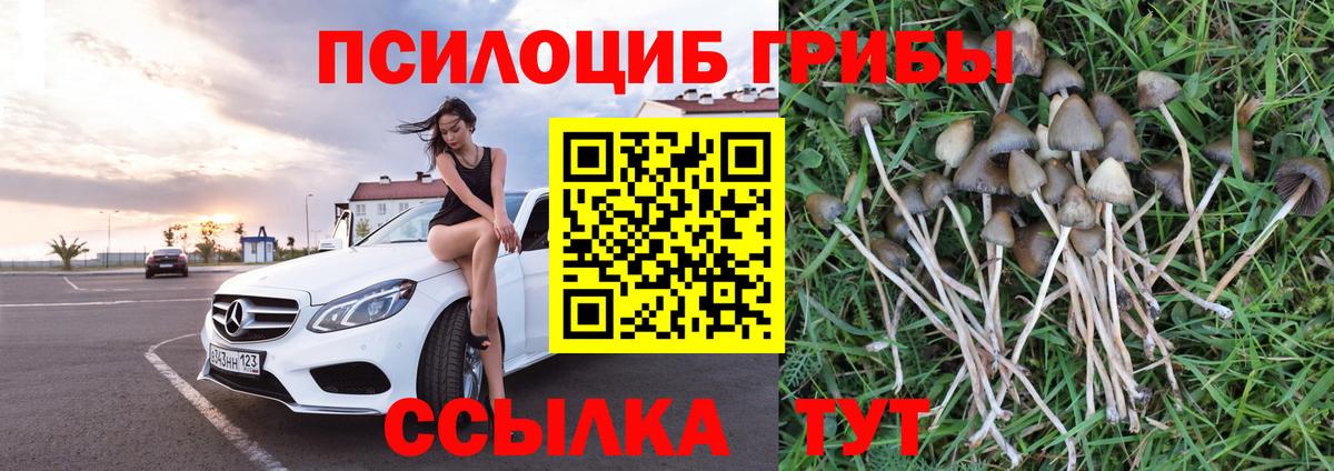 Псилоцибиновые грибы мухоморы  Вход с VPN  Псилоцибиновые грибы Cubensis  Кимовск 